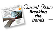 Head to the cover of the latest webzine from Scientific AmeriKen!
