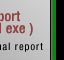 View the final report as a PC executable