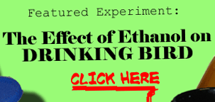 FInd out the effects of Ethanol on one who makes a living out of drinking.