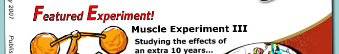 !0 Years later Scientific AmeriKen is still trying to understand muscle growth. In this experiment, the rate of muscle increase is investigated in a comparison between a 20 year old SciameriKen against a 30 year old...