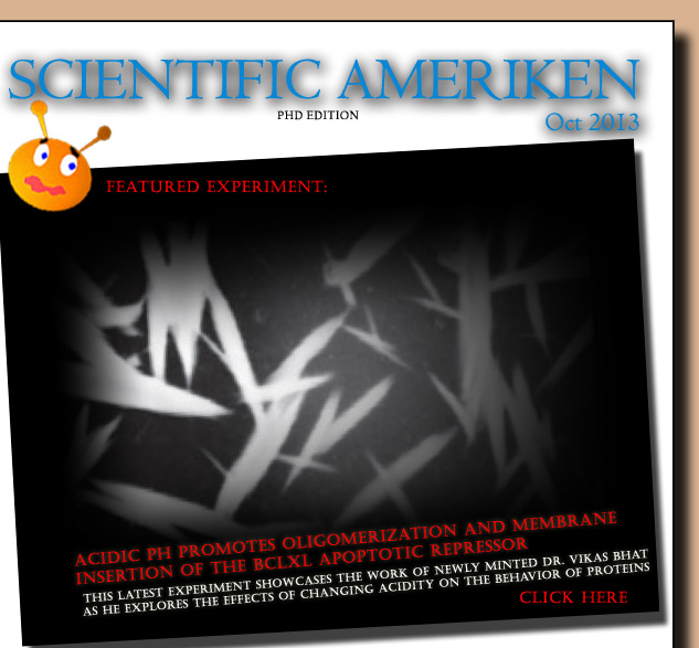 PHD EDITION: Check out the latest write-up of the work of colleague Vikas Bhat - what is going on with this important anti-apoptotic protein??